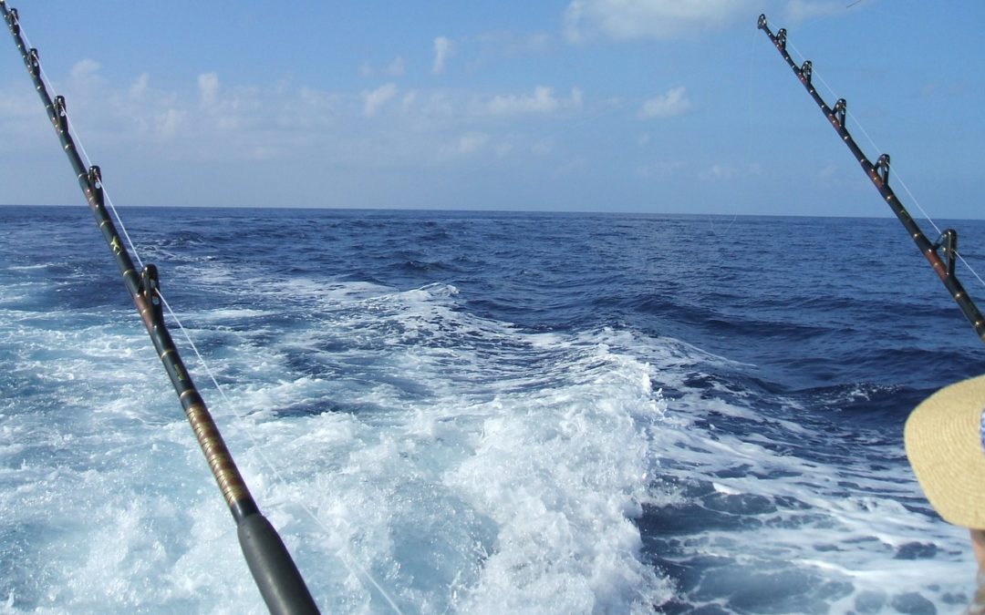 Deep Sea Fishing in Belize